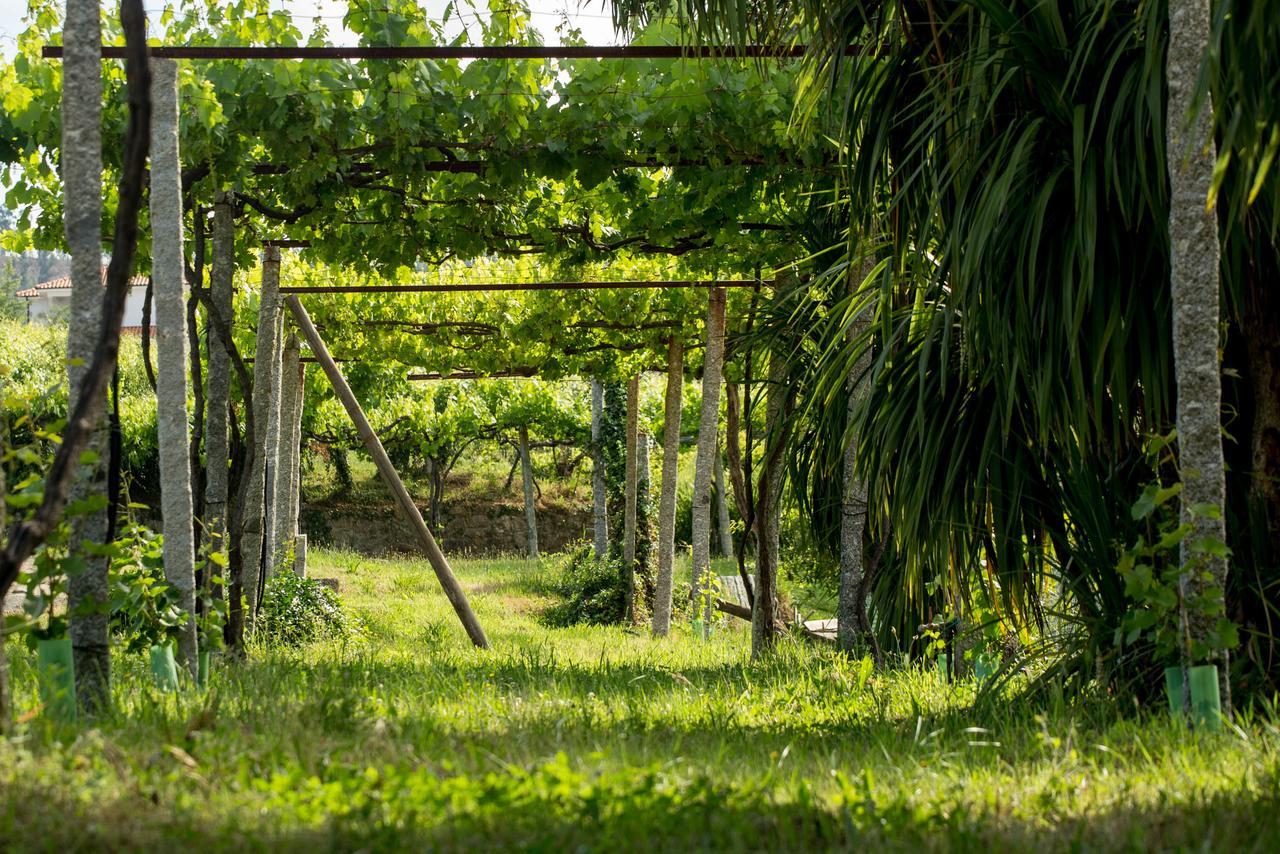 Quinta De Lourosa Guest House Lousada Eksteriør bilde