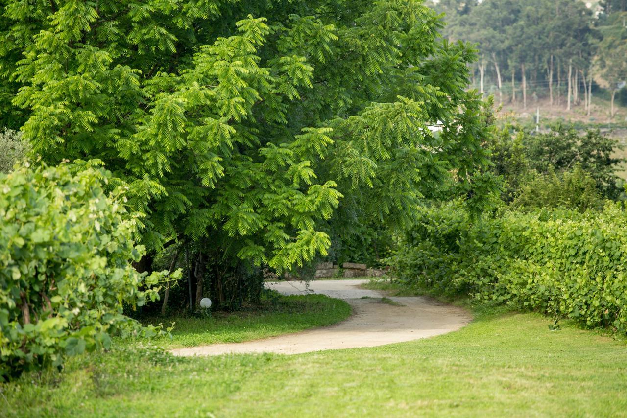 Quinta De Lourosa Guest House Lousada Eksteriør bilde